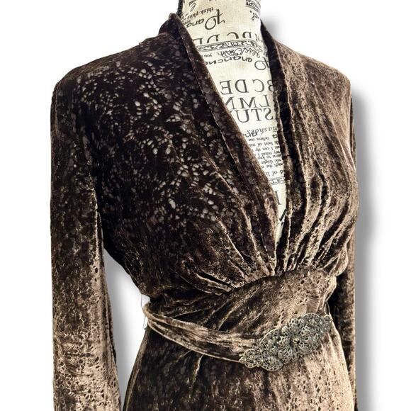 Eli Tahari Size 4 Brown Laser Cut Silk Blend Velvet Dress Fairy Whimsy Goth - Picture 4 of 8